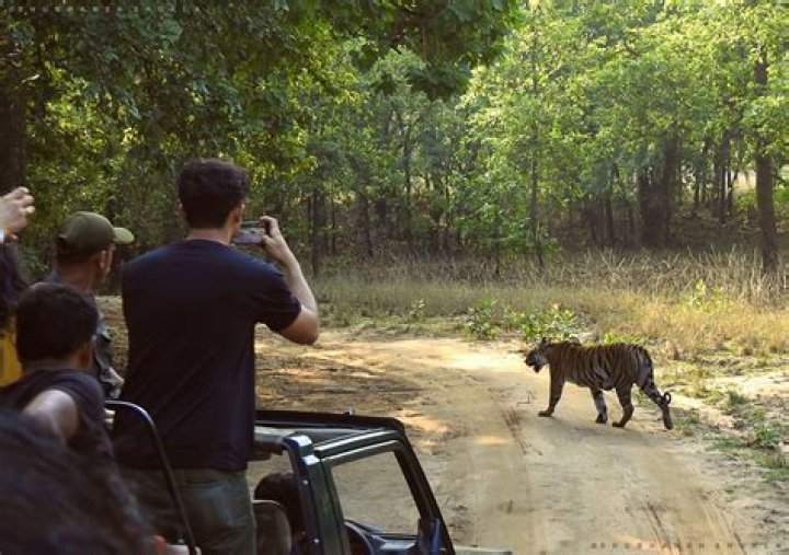 'Naked golfer' leaves Tiger in the shade