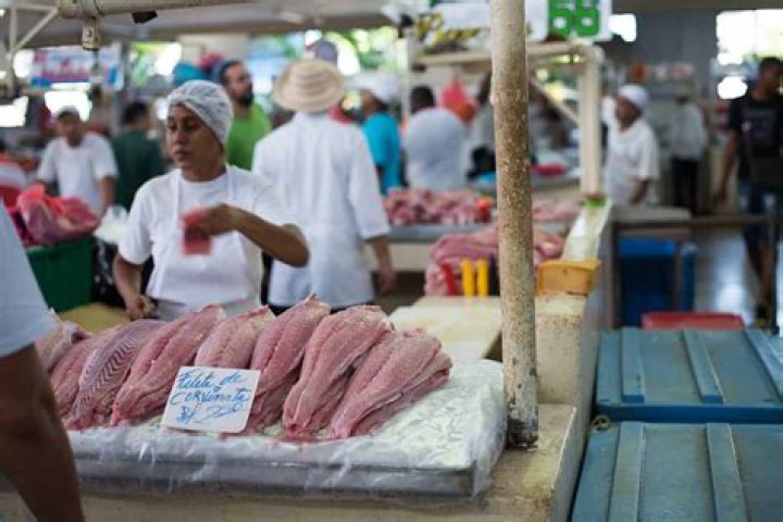 10 Astonishing Facts About Mercado De Mariscos (Panama City)