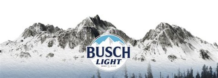 10 Busch Light Nutrition Facts: What You Need to Know