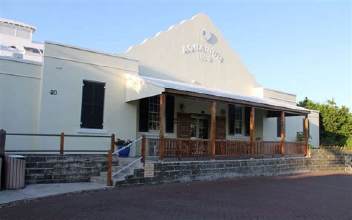 10 Enigmatic Facts About Bermuda Aquarium, Museum And Zoo