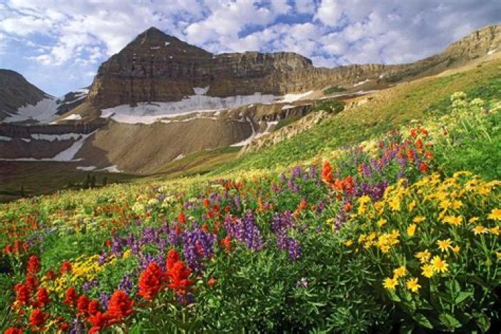 11 Enigmatic Facts About Mount Timpanogos