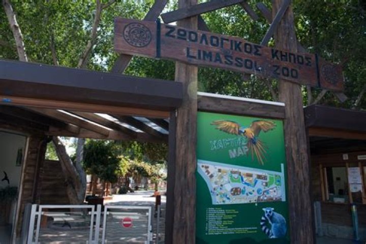 12 Enigmatic Facts About Limassol Zoo