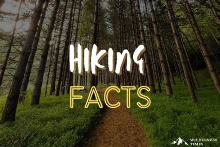 12 Mind-blowing Facts About Hiking And Nature Scavenger Hunt