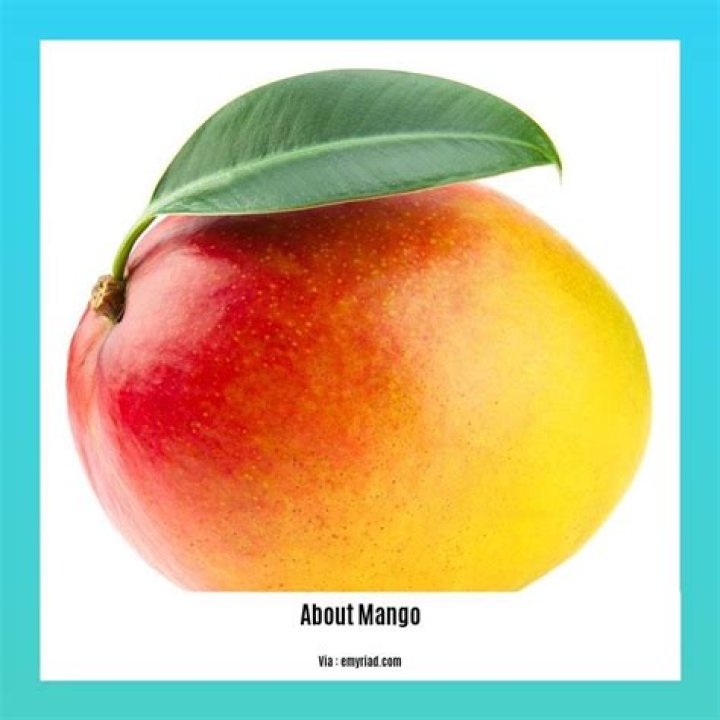 13 Facts About Mango - Facts.net