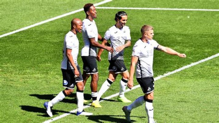 13 Facts About Swansea City