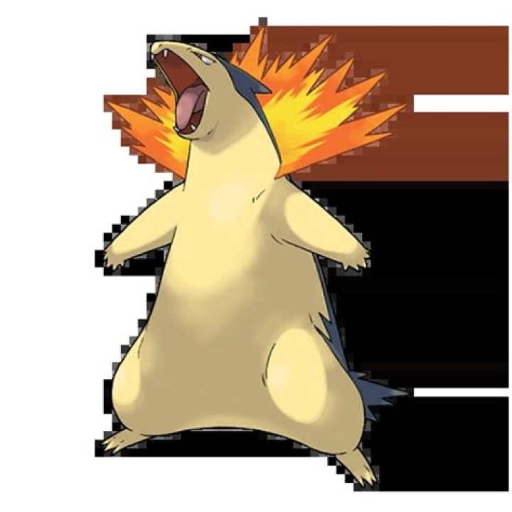 13 Facts About Typhlosion - Facts.net