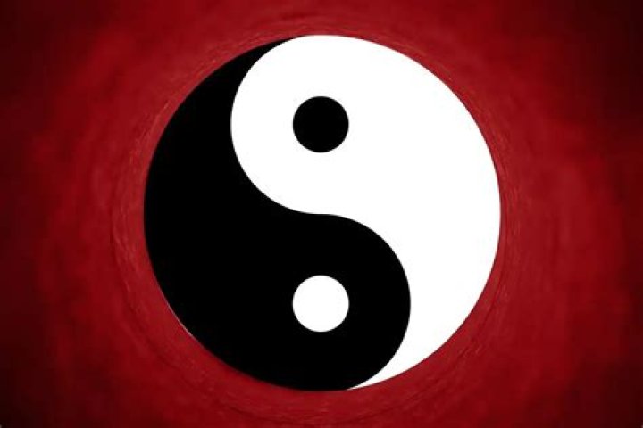 14 Facts About Yin (Yin Yang Yo!)