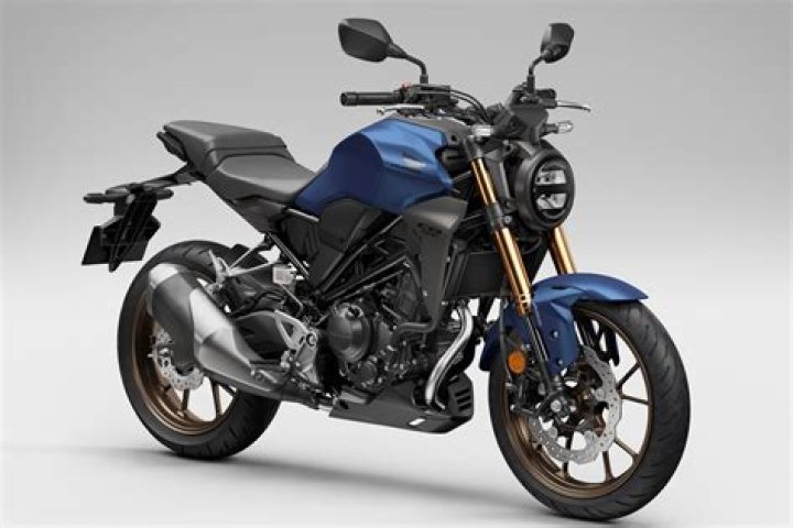 14 Fascinating Facts About Honda CB300R ABS