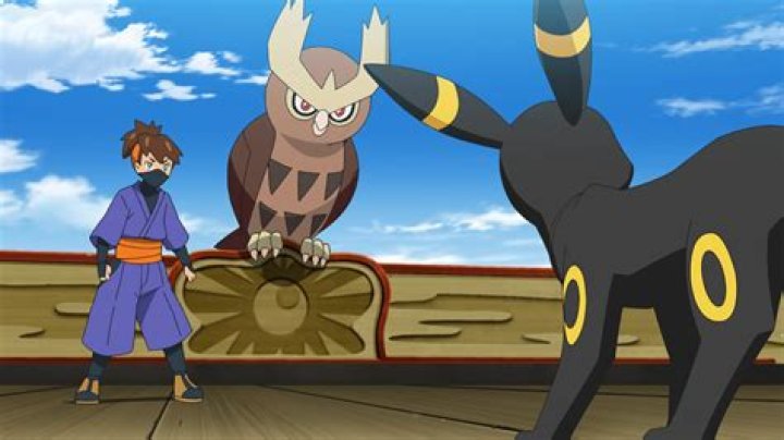 15 Facts About Noctowl - Facts.net