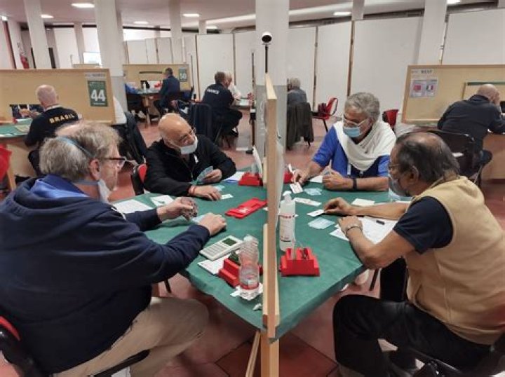 15 Facts About World Bridge Championships