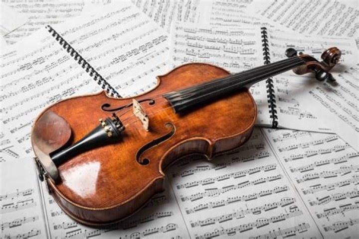 15 Intriguing Facts About Viola
