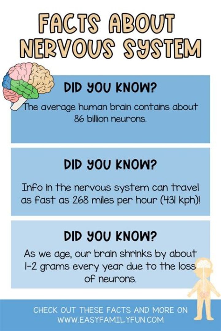 16 Fascinating Facts About Nervous System