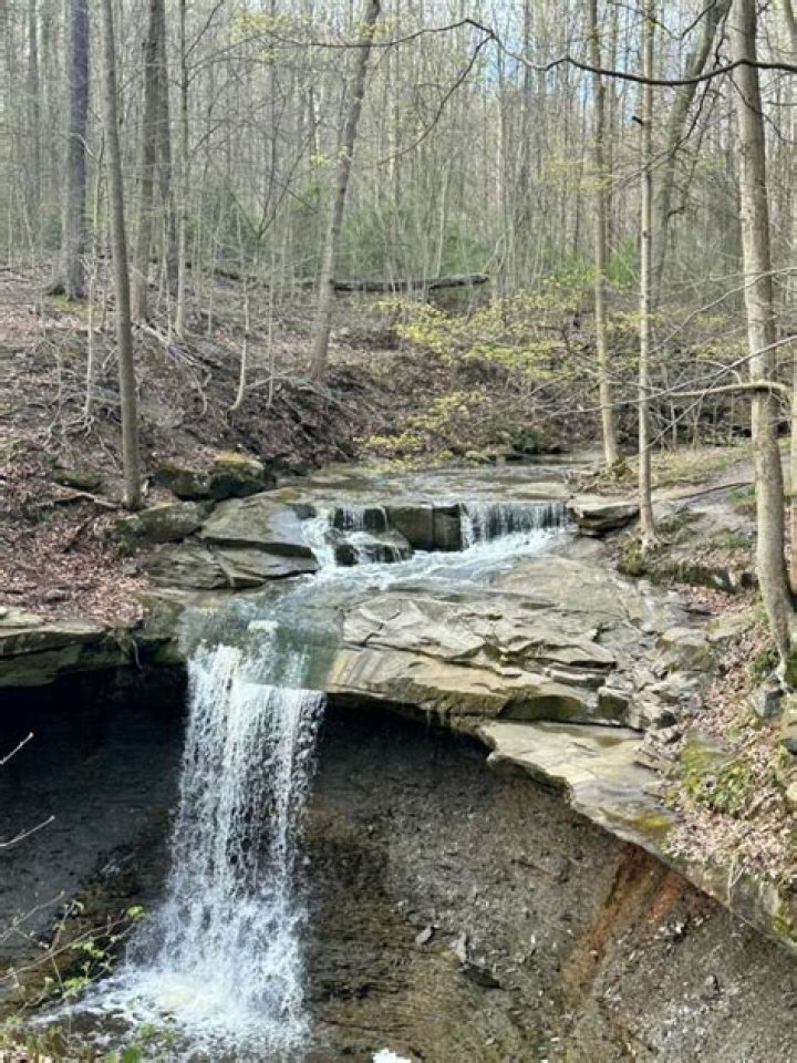 16 Surprising Facts About Blue Hen Falls