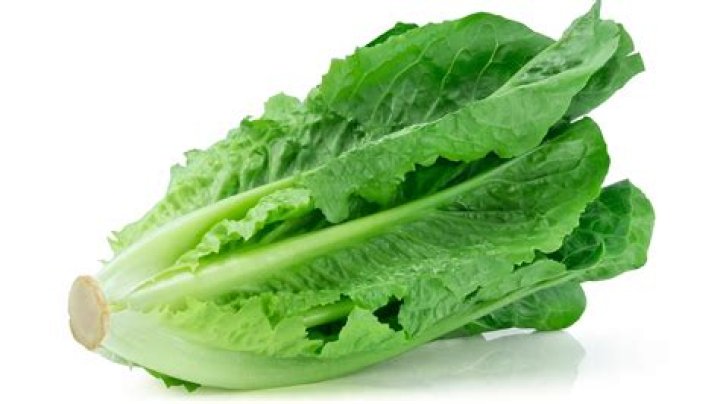 17 Facts About Cos Lettuce