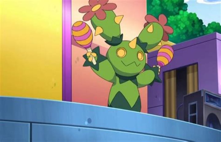 17 Facts About Maractus - Facts.net
