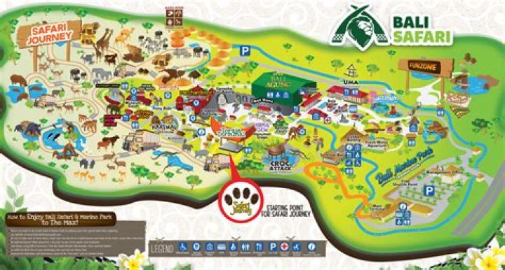 18 Captivating Facts About Bali Safari And Marine Park