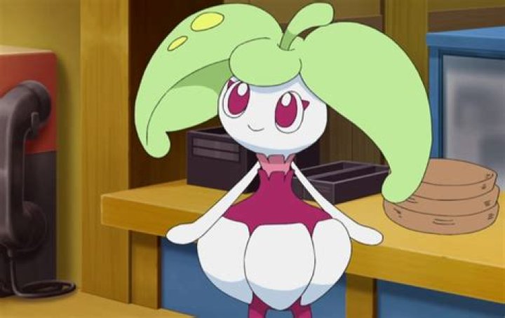18 Facts About Steenee - Facts.net