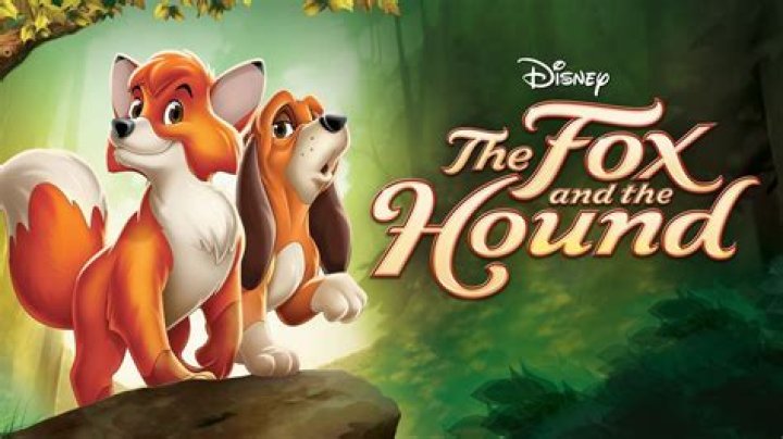 18 Facts About Todd (The Fox And The Hound)