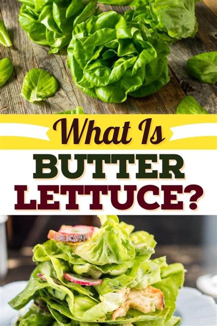19 Facts About Butternut Lettuce