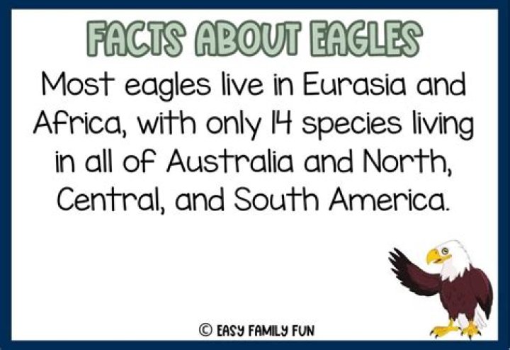 19 Facts About Eagles