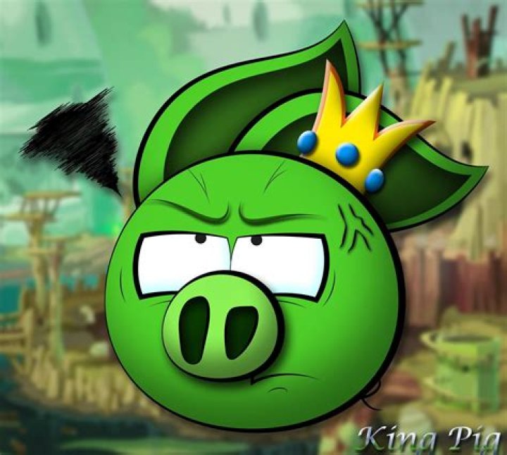 19 Facts About King Pig (Angry Birds Toons)