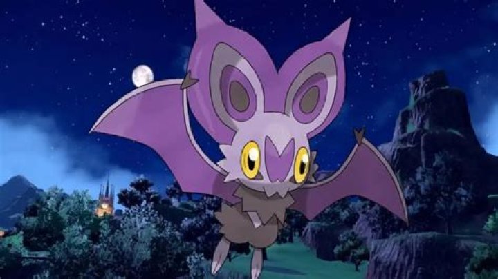 19 Facts About Noibat - Facts.net