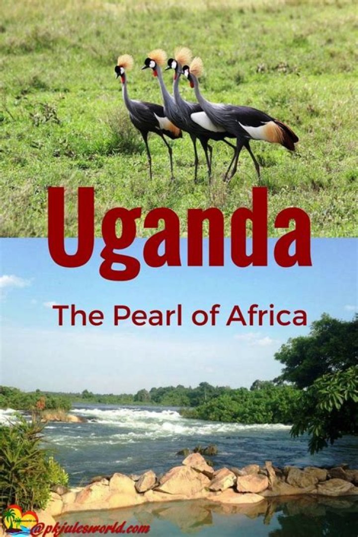 19 Interesting Facts About Uganda The Pearl of Africa