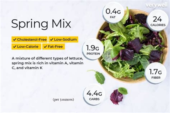 19 Spring Mix Nutrition Facts