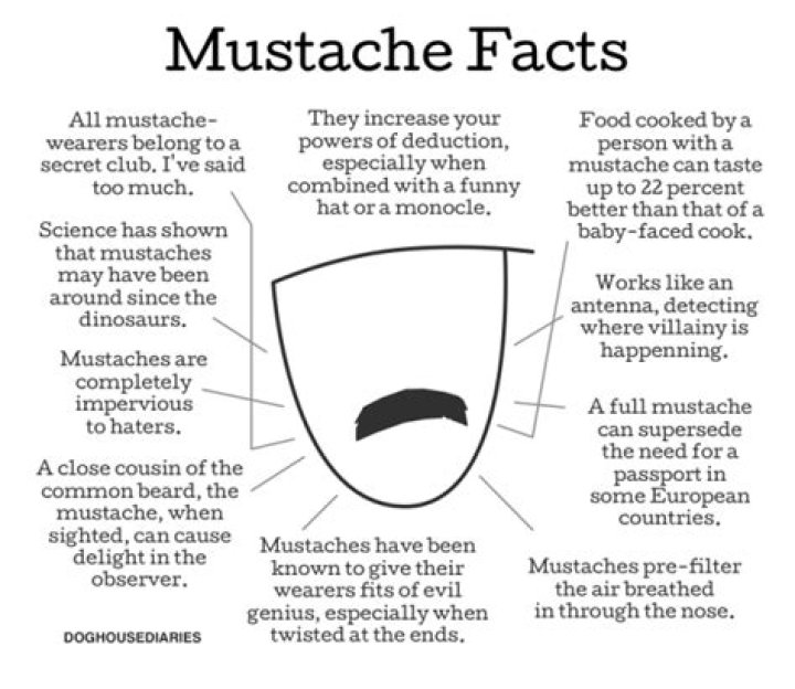 20 Astounding Facts About Mustache Dache
