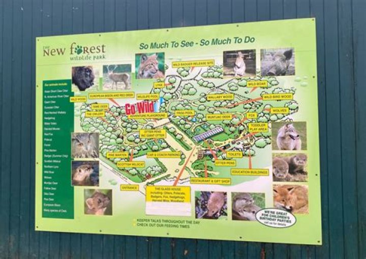 20 Extraordinary Facts About New Forest Wildlife Park