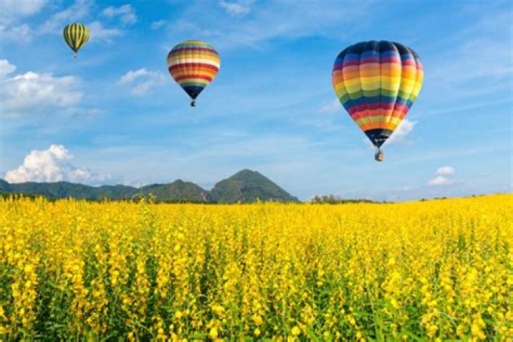 20 Facts About Great Texas Balloon Race