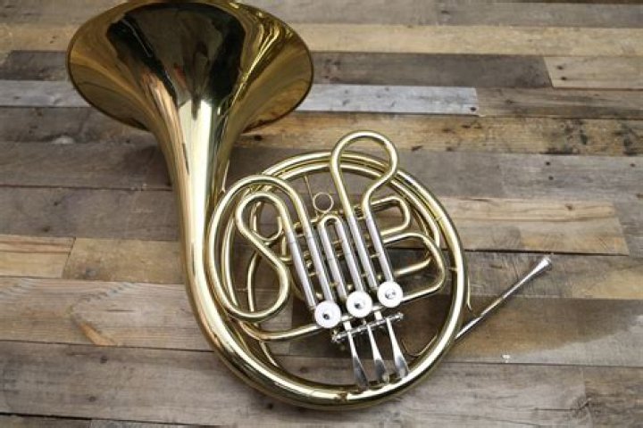 20 Facts About The French Horn