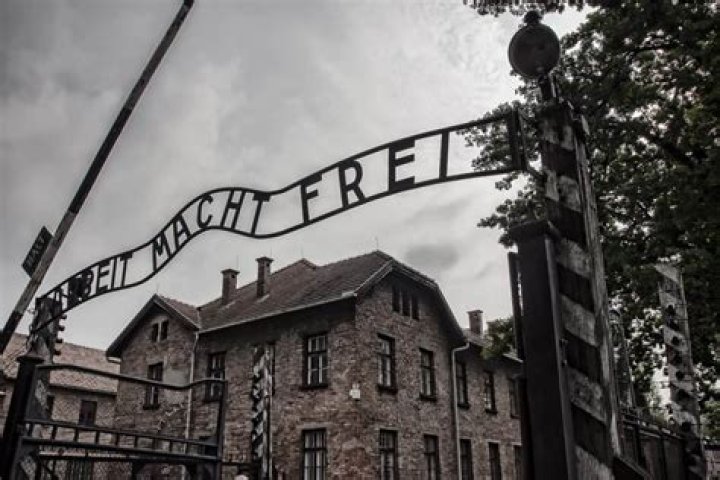 20 Holocaust Facts - Beginning, Resistance, Camps & More