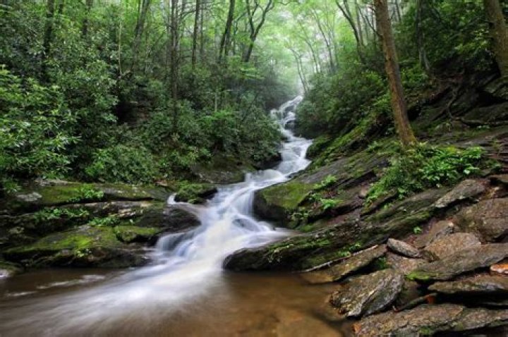 20 Mind-blowing Facts About Roaring Fork Falls
