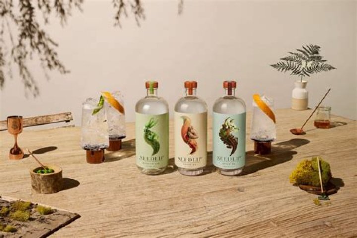 20 Seedlip Nutrition Facts - Facts.net