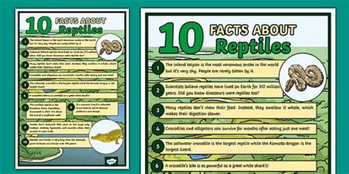 20 Surprising Facts About Reptile Keeping