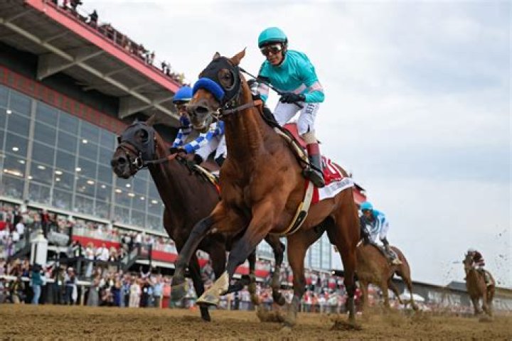 2023 Belmont Stakes: Early Predictions Following Preakness | News, Scores, Highlights, Stats, and Rumors