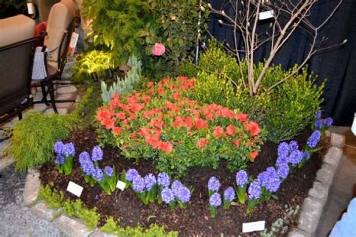 24th Annual Southeastern Flower Show