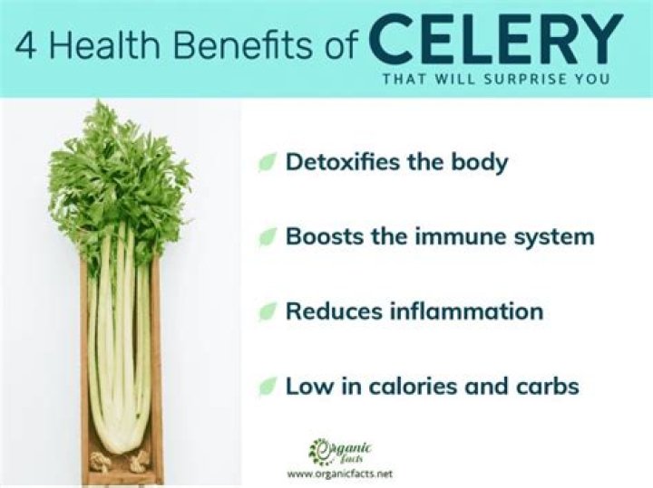 3 Healthy Benefits of Celery Mayo