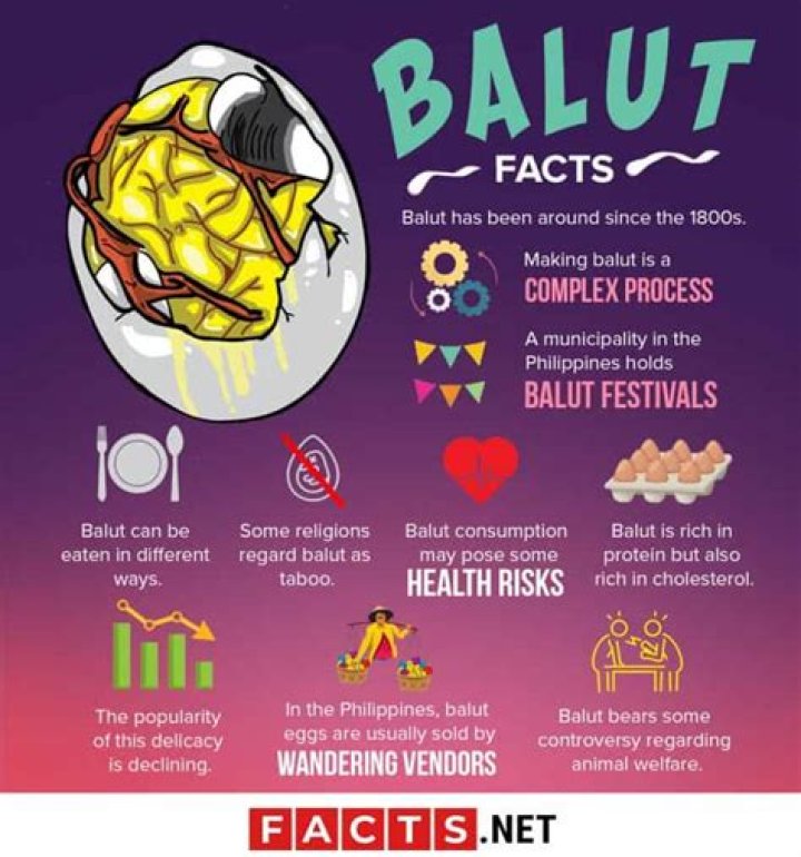 30 Bizarre Balut Facts About This Unusual Delicacy