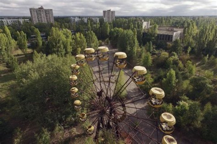 30 Fascinating Facts About The Chernobyl Animals