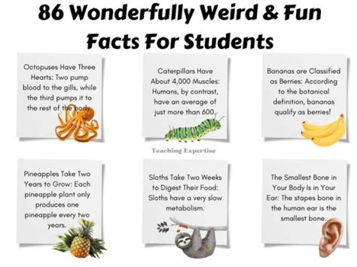 300 Crazy Fun Facts To Start Your Day