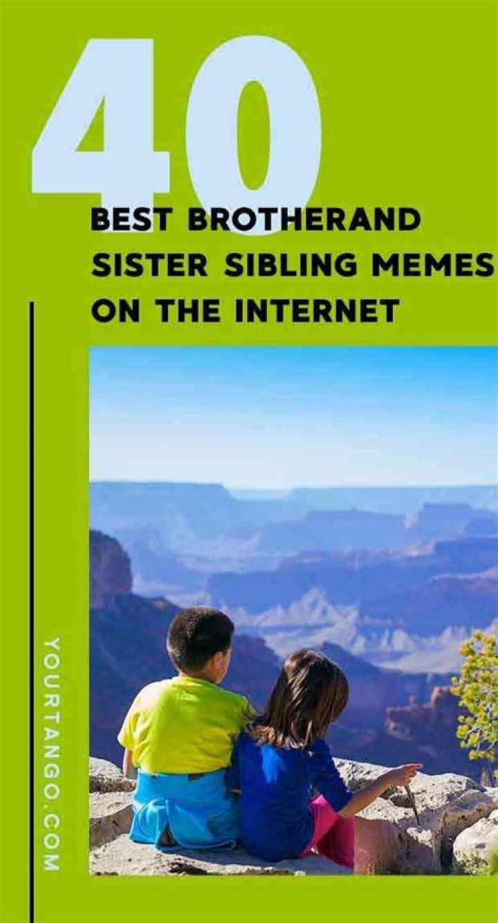 40 Best Brother And Sister Sibling Memes On The Internet