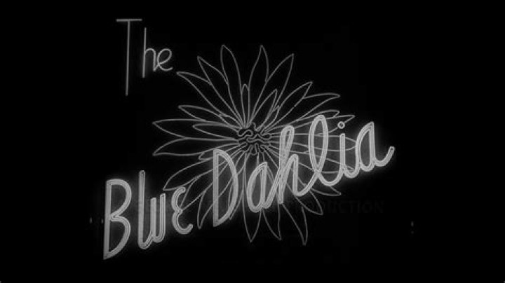 42 Facts about the movie The Blue Dahlia