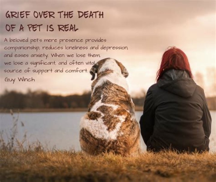 5 Reasons We Should Take The Death Of A Pet More Seriously | Guy Winch