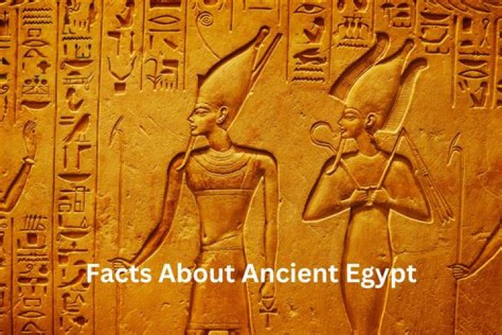 50 Facts About Anand - Facts.net
