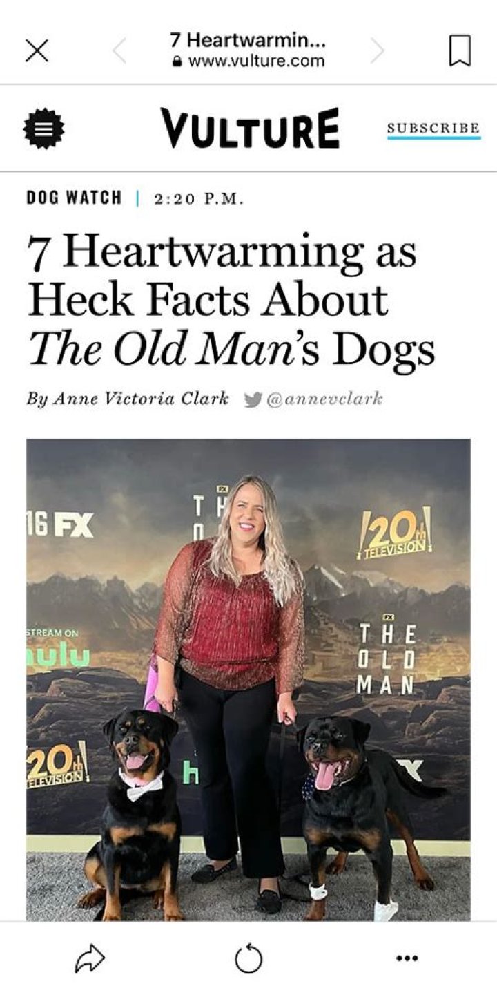 7 Heartwarming as Heck Facts About The Old Man’s Dogs