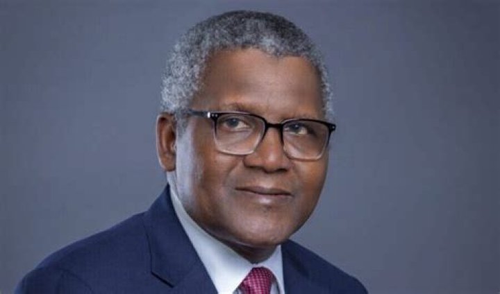 Adedeji Adeleke Net Worth 2024: A Comprehensive Insight