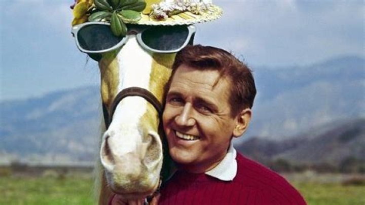 Alan Young, star of 1960s sitcom 'Mr. Ed,' dies at 96