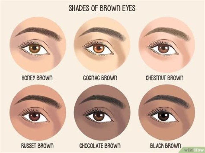 All About Brown Eyes
